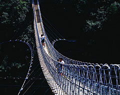 奈良県黒滝村　森物語吊橋