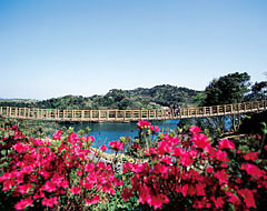 長崎市　中央公園吊橋