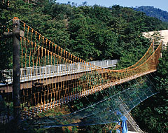 広島市　三滝少年自然の家 冒険橋